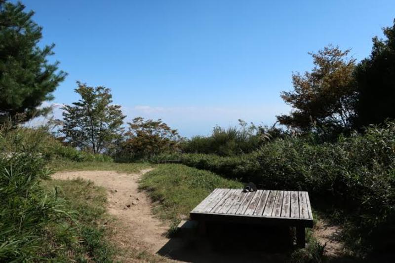 油コブシ六甲山でハイキングしませんか？