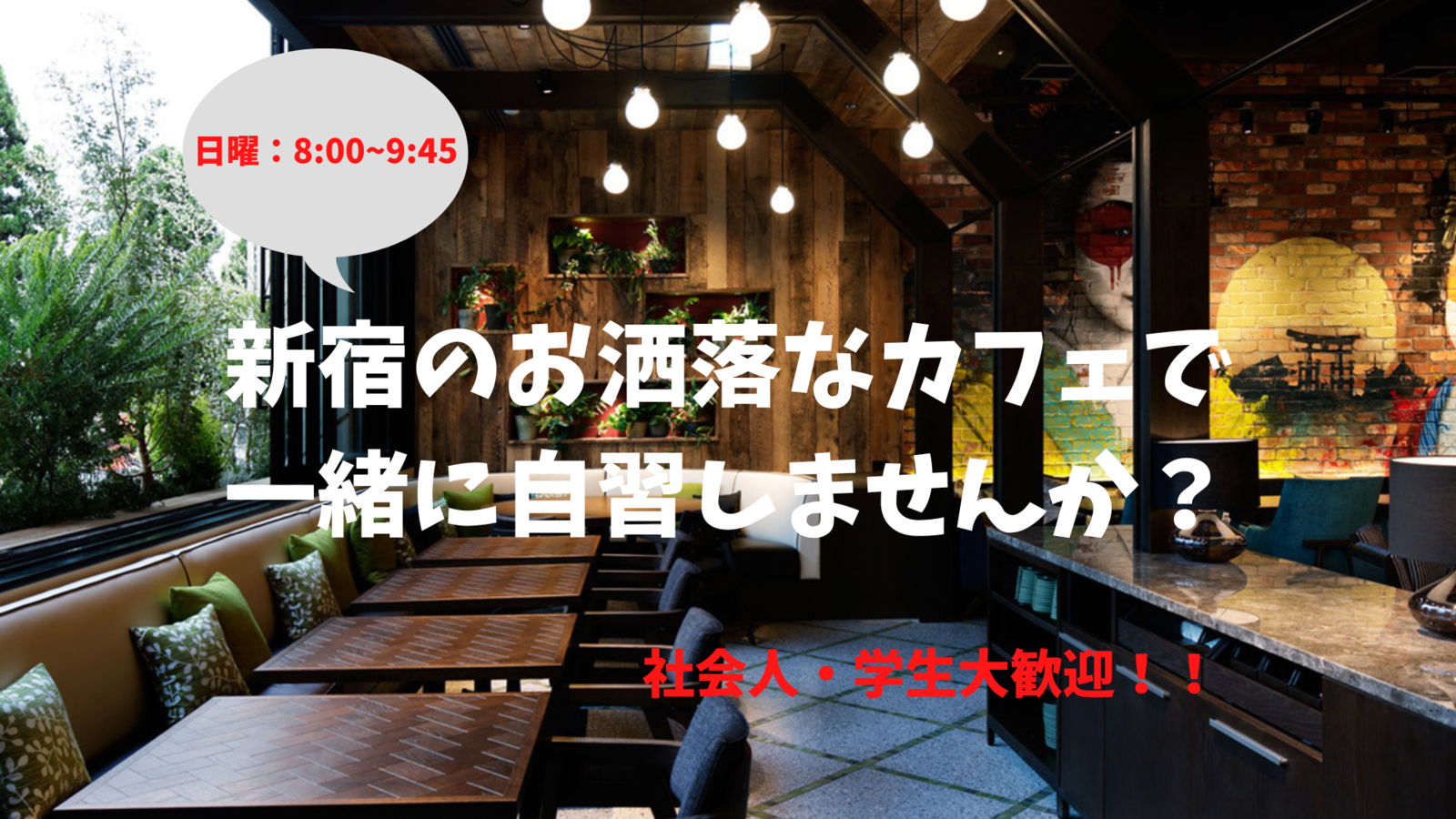 新宿のお洒落なカフェに集まって一緒に自習をしよう！！