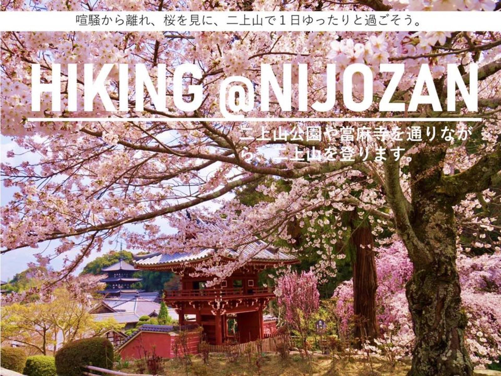 【今晩〆切ます】みんなでお花見企画！二上山をゆるく楽しく、桜を見ながらハイキング♪