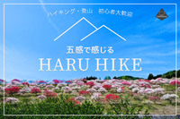 【開催決定・あと1名で募集〆切】ハイキング・登山初心者大歓迎！季節の自然をを楽しむ六甲山ハイキング♪