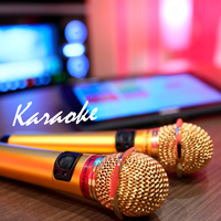 2/11 13:00~16:00 楽しくカラオケ会🎤