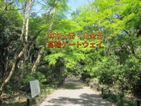 【一万歩未満】麻布十番・白金台・高輪ゲートウェイ散歩