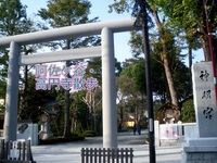 男性満員の為女性参加者募集中【参加費無料一万歩散歩企画】商店街と公園が交わる阿佐ヶ谷・高円寺散歩