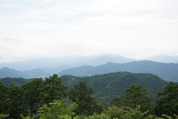 【チェーンスパイク必須】ゆるりと雪の高尾山に登ろう！