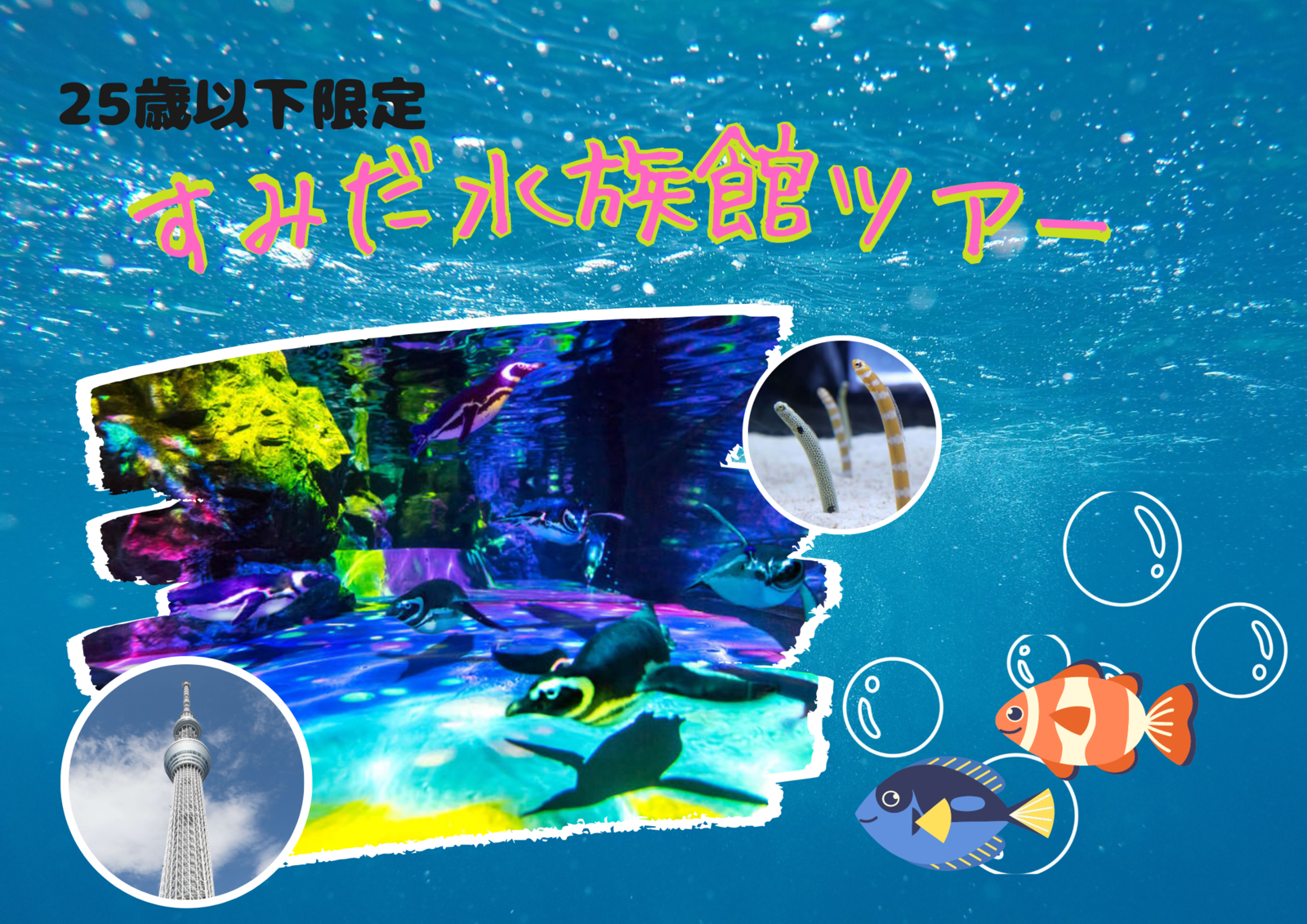 【25歳以下限定】すみだ水族館ツアー@東京スカイツリー