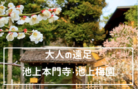 都内屈指の梅の名所で春を感じよう！池上本門寺と池上梅園！