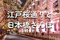 解説付き！江戸桜通りと日本橋エリアの歴史散歩＆桜鑑賞会♪