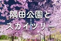 解説付き！隅田川エリアの歴史散歩＆桜鑑賞会♪