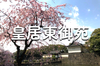 解説付き！皇居東御苑の歴史散歩＆桜鑑賞会（あれば）♪