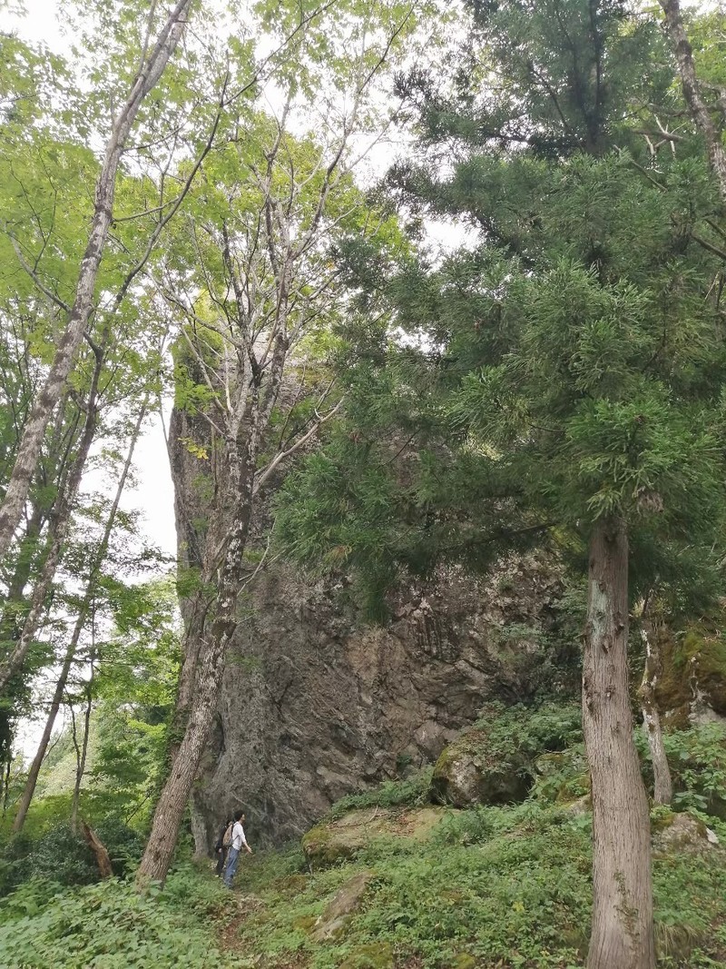 竹内文書feat.羽根ライン(富山県/天柱石)
