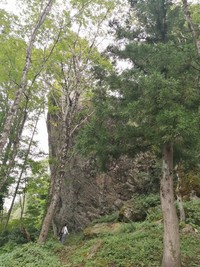 竹内文書feat.羽根ライン(富山県/天柱石)