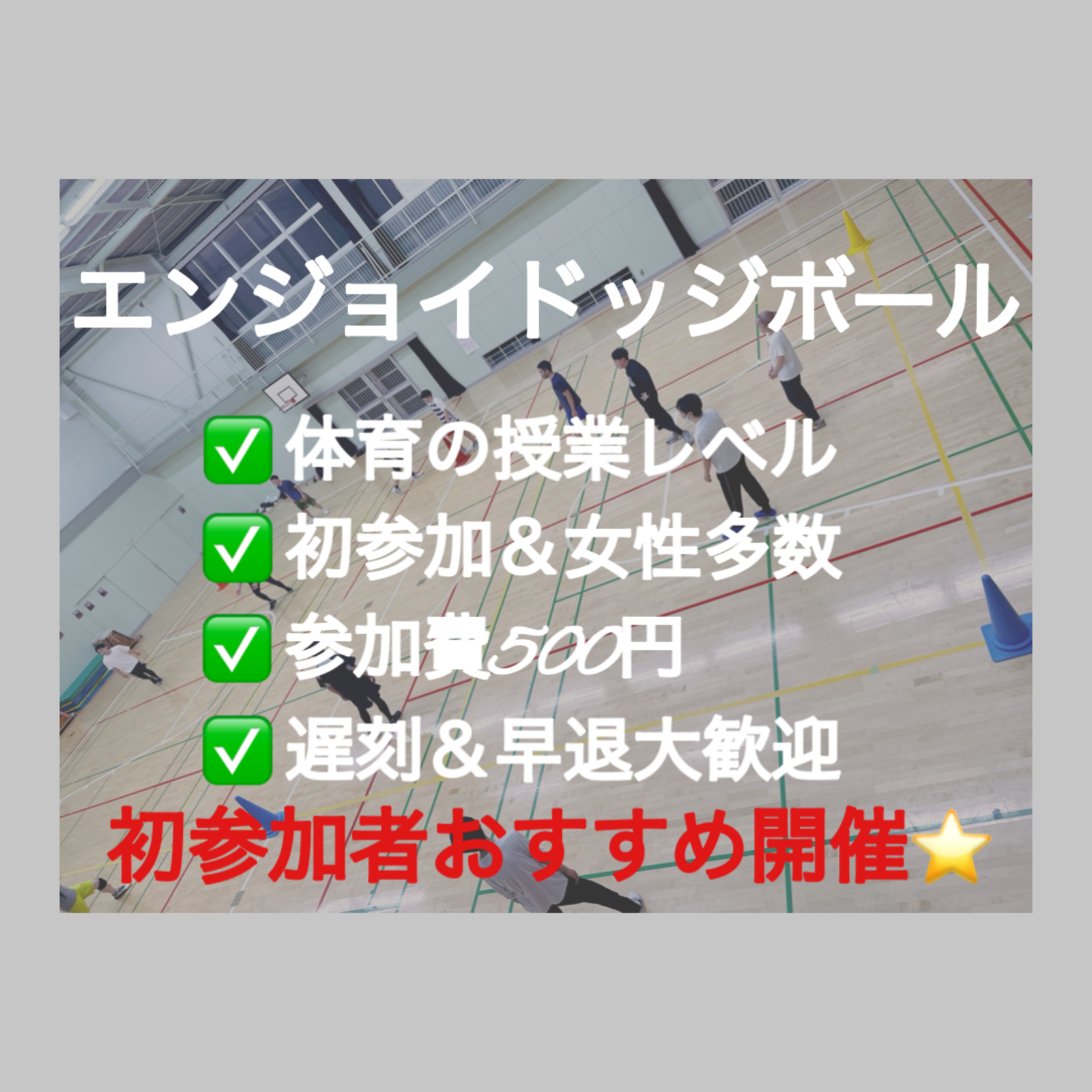 【現在26名⚠️残1枠】ドッジボール⭐️初参加＆未経験者大歓迎⭐️遅刻OK！【友達作り＆運動不足解消しよう！】