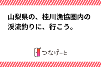 山梨県の、桂川漁協圏内の渓流釣りに、行こう。