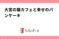 大宮の猫カフェと幸せのパンケーキを堪能する会