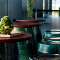 美味しい抹茶を食べに行こう🧉🍰