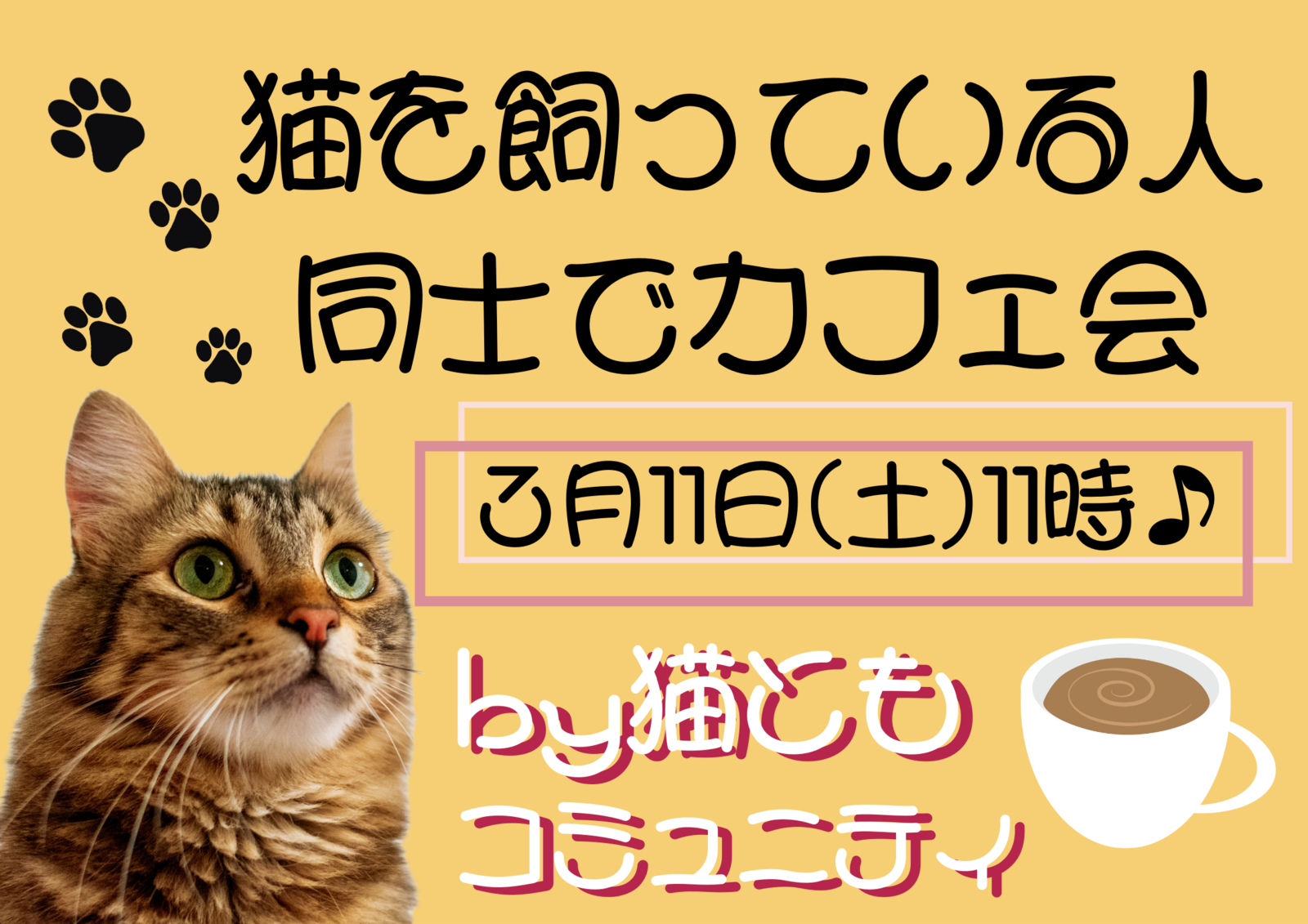 🐱猫を飼っている人同士でカフェ会☕️