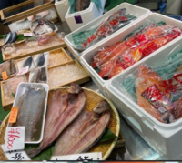 有楽町スタート　築地魚場外市場春祭り食べ歩きお散歩オフ会 ひな祭り