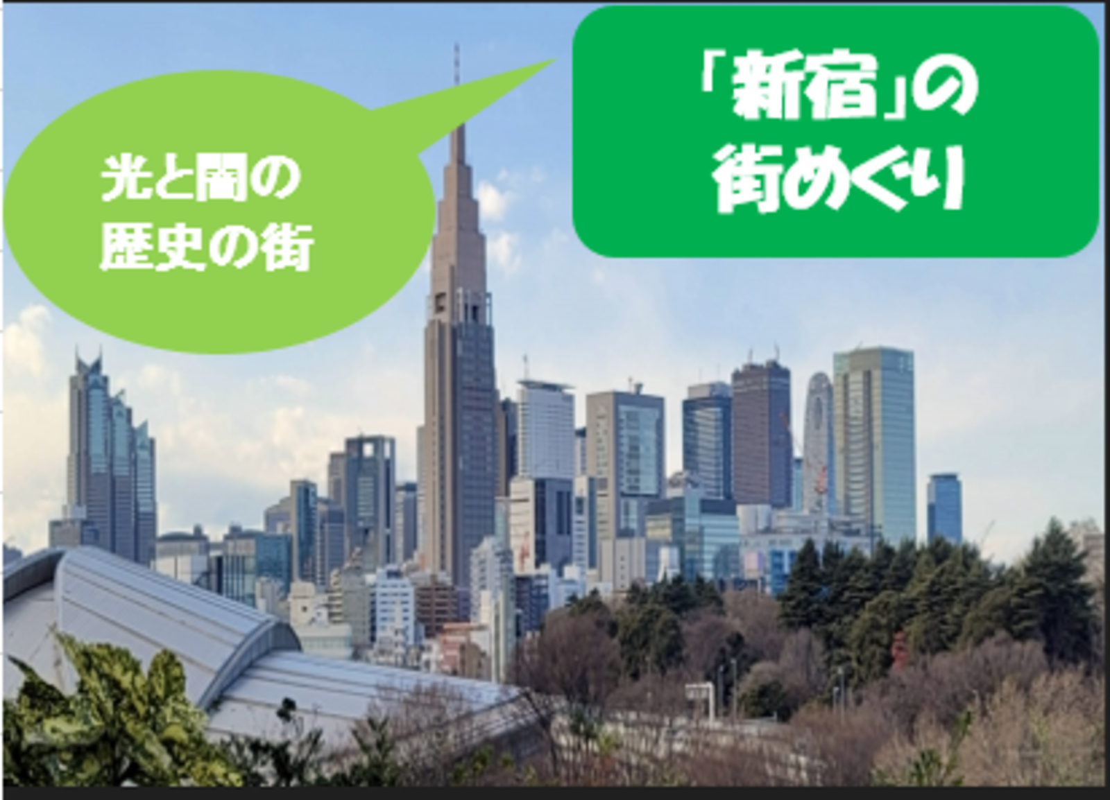 【歴史　寺　散策】新宿の街めぐりに行こう！