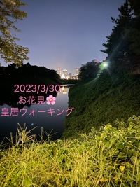 【20・30代女性限定】のんびりお花見🌸皇居ウォーキング会