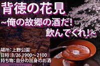 背徳の花見🌸~俺の故郷の酒だ！飲んでくれ！~