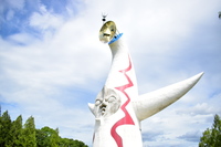 万博記念公園で春探し🌷写真お散歩