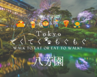 【夕方から曇予報のため開催予定】八芳園　夜桜散歩&白金横丁で花見団子🍡