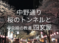 中野通り「桜のトンネル」と中央線の教養やきとんの四文屋