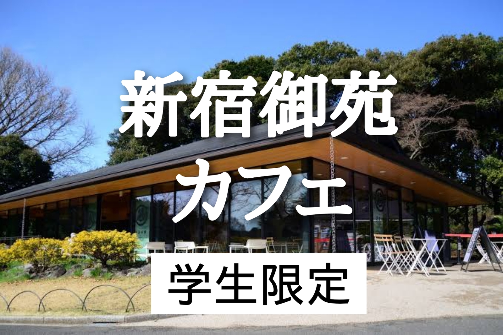 学生限定｜新宿御苑内のカフェ/抹茶スイーツを楽しみましょう♪