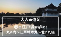 春の江戸城を満喫する！丸の内古地図歩き旅！