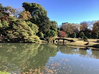 中野でまったりカフェ会しながらお喋りしよう。^_^