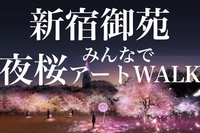 【新宿御苑🏙×夜桜アート🌸】今だけ開催中の夜桜ライトアップをみんなで見に行こう!!