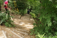 【長距離ハイキング】陣馬山〜高尾山まで縦走しよう！