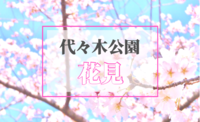 満開のチャンス！？複数種７００本の桜を楽しむ☆都会の真ん中でお花見in代々木公園♪