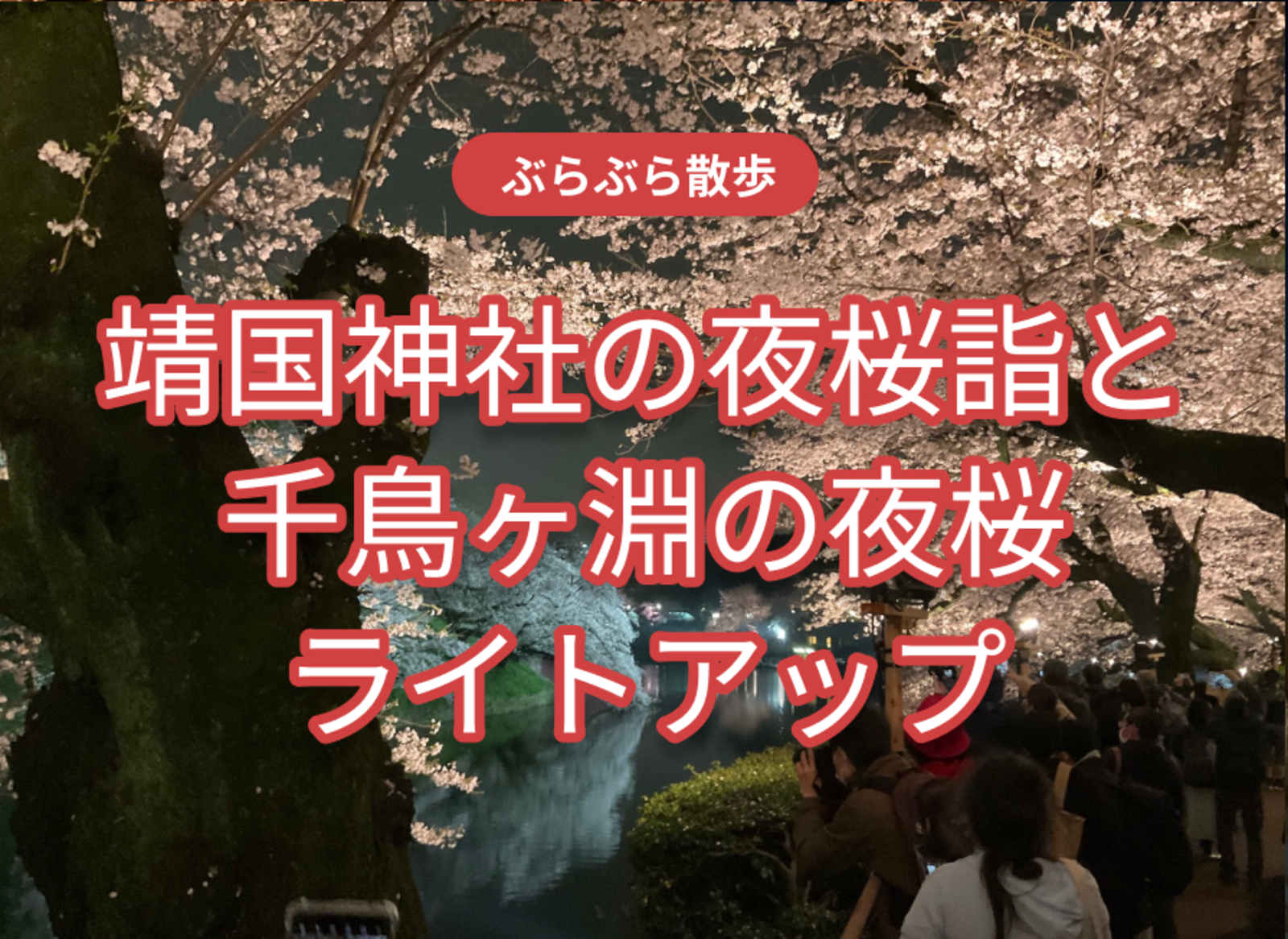 靖国神社の夜桜詣と千鳥ヶ淵の夜桜ライトアップ 4年ぶりのライトアップ
