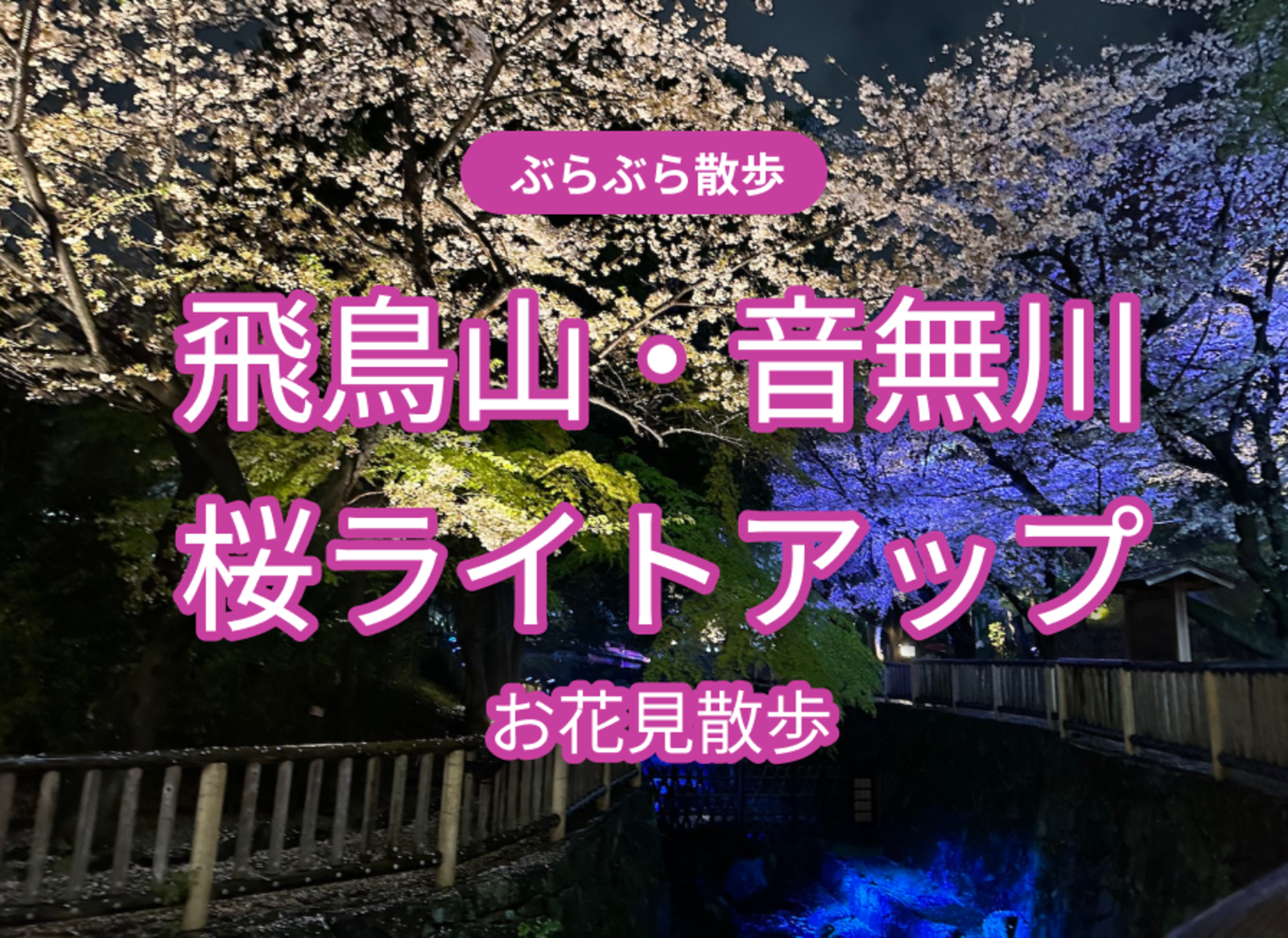 飛鳥山・音無川桜ライトアップ お花見散歩