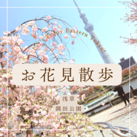 お花見散歩@浅草&隅田公園【LEET!】