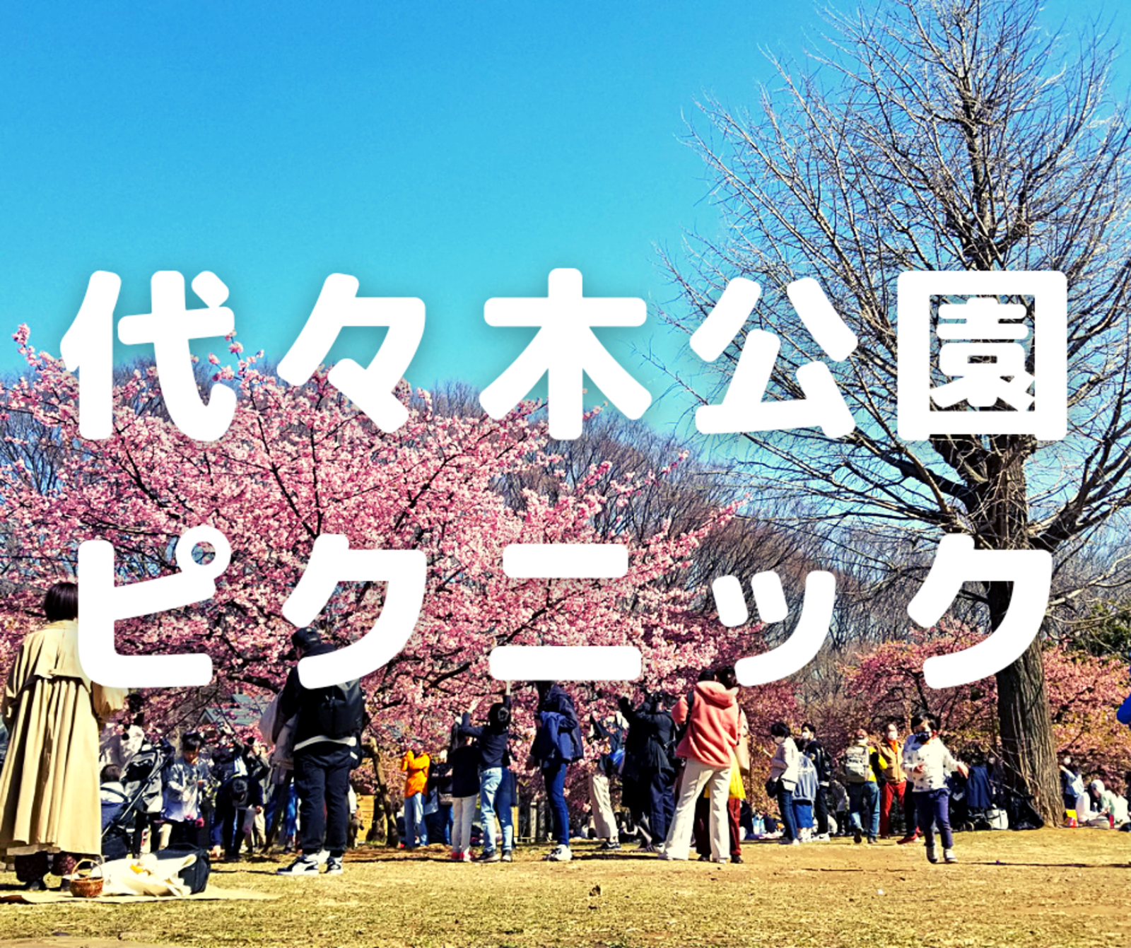 【平成カモ〜ん】地方出身&上京組🗾代々木公園🌸春一番🍻ピクニック