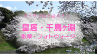 【初参加/ソロ参加歓迎】【スマホ撮影歓迎】花見🌸散策・フォトウォーク in 千鳥ヶ淵・北の丸公園【カメラ初心者・上級者・モデルさん歓迎】