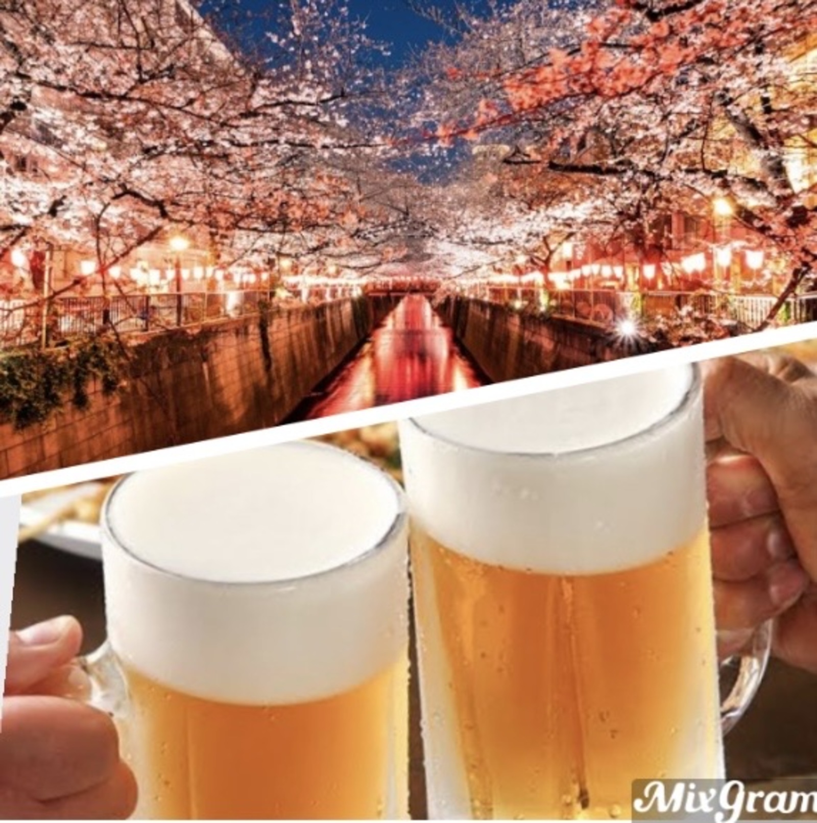 【女性主催】🌸 目黒川の夜桜ライトアップを堪能して居酒屋で乾杯しよう🍃🍻