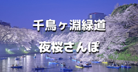 4年ぶりの千鳥ヶ淵のライトアップ♪夜桜をみながら散歩します(^-^)
