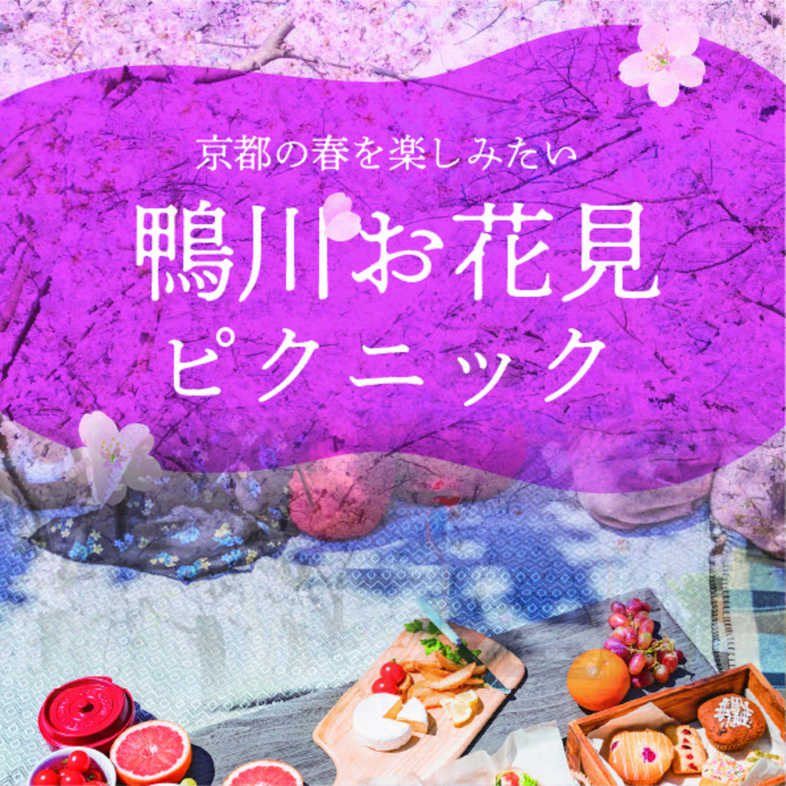 🌸4/1✨京都でお花見✨桜の鴨川でピクニック