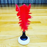 インディアカで体を動かしましょう！