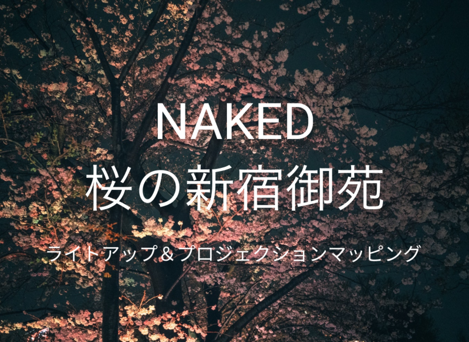 アートとテクノロジーのネイキッドが彩る「NAKED桜の新宿御苑2023」に行きましょう！良い感じのお花見を🌸