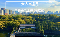 春の江戸城(皇居東御苑)を散策しよう！
