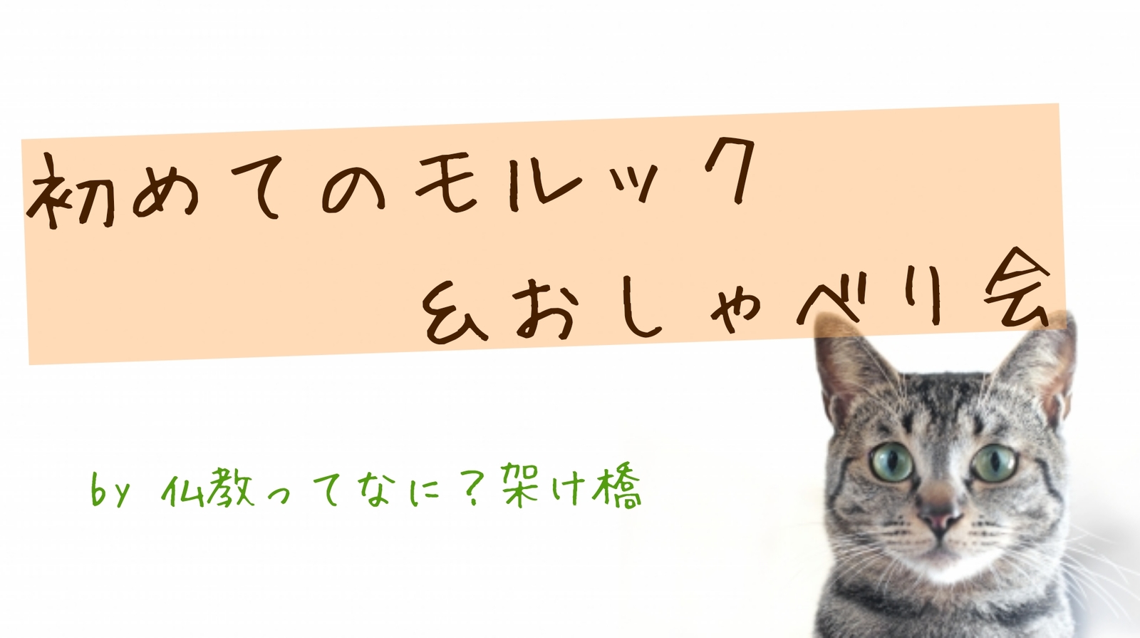 【名古屋開催！20,30代限定】初めてのモルック＆おしゃべり会