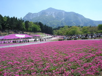 【20代女性企画】特急ラビューで行く秩父！絶景めぐりでGWを満喫しよう！