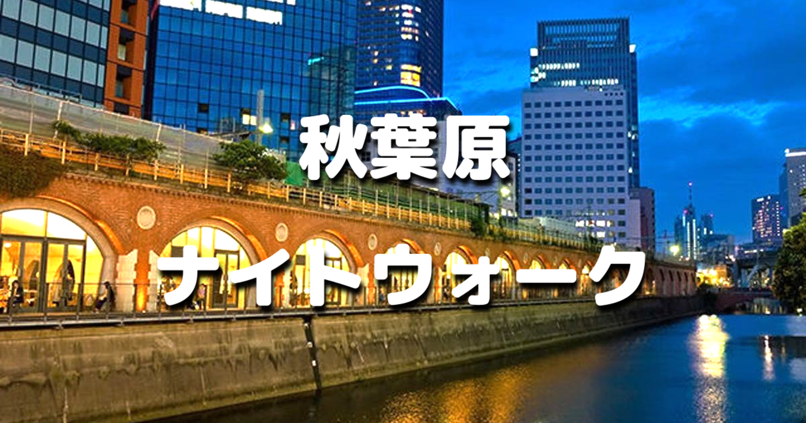 秋葉原ナイトウォーク｜旧万世橋駅、江戸城の門跡、湯島聖堂、水道橋などの史跡もめぐります！