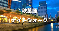 秋葉原ナイトウォーク｜旧万世橋駅、江戸城の門跡、湯島聖堂、水道橋などの史跡もめぐります！