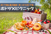 早割中【ボドゲ＆ピクニック】お一人参加多数♪モルック、フリスビー、スパイクボールもやるよ＠代々木公園【第365回】