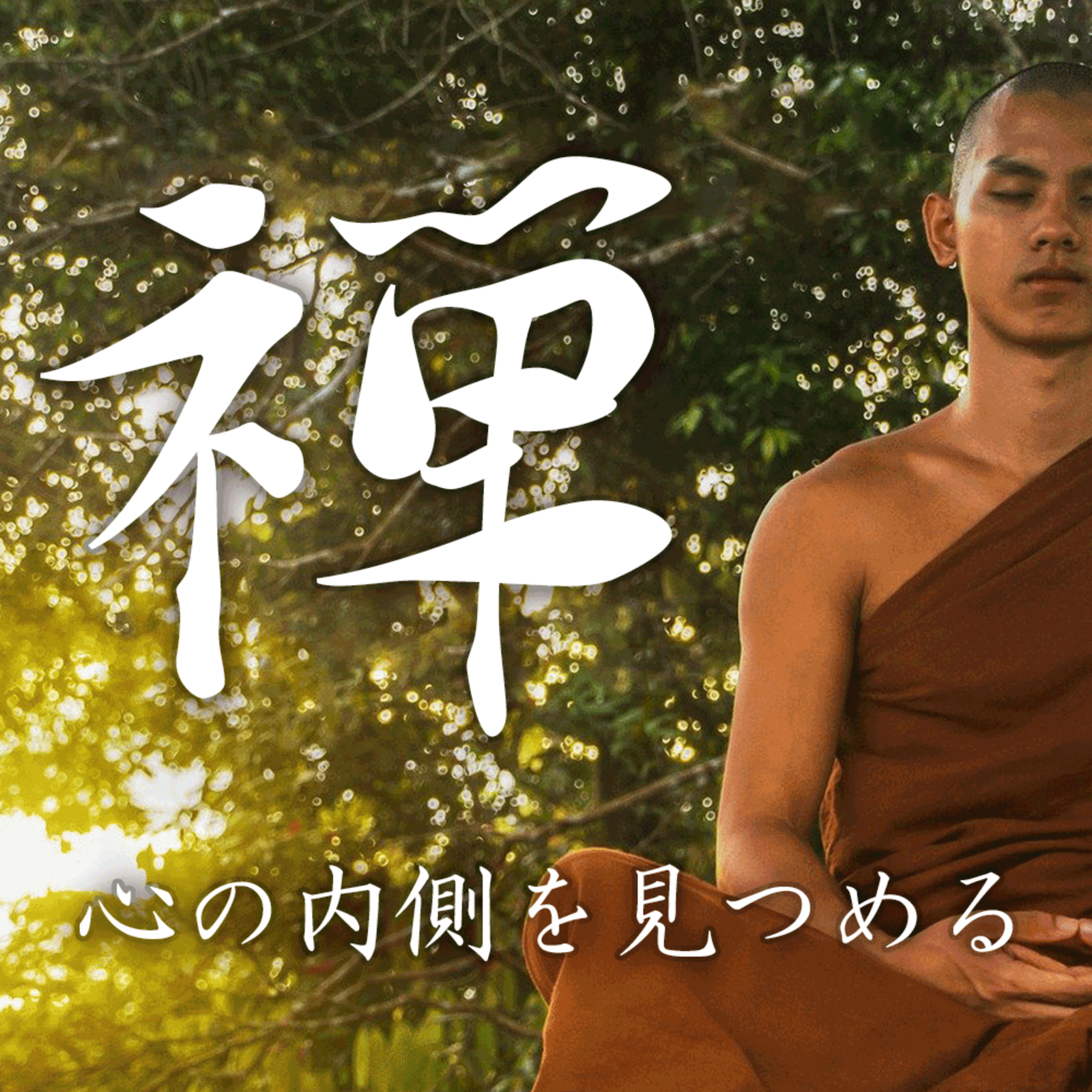 「禅友」を作ろう！！〜俗世を離れて語りあう〜